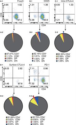 Characterizing Foxp3+ and Foxp3- T cells in the homeostatic state and after allo-activation: resting CD4+Foxp3+ Tregs have molecular characteristics of activated T cells